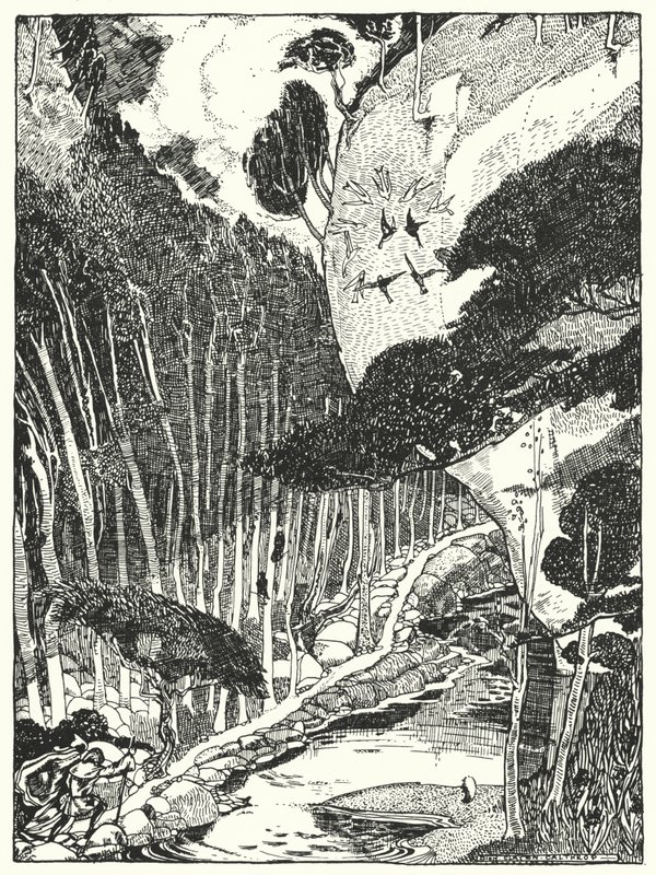 昏暗的森林（雕版画 作者 迪翁·克莱顿·卡尔斯洛普
