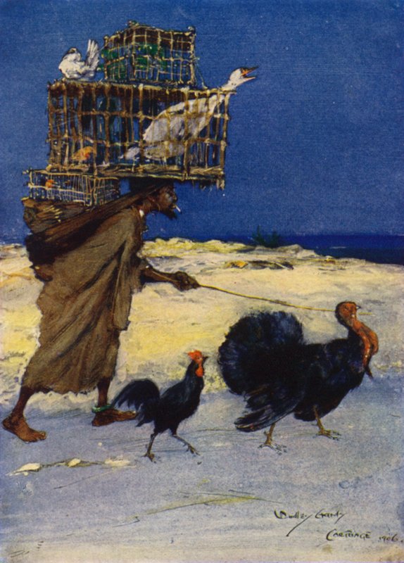 The Bird Fancier, Carthage, Tunisia 作者 达德利·哈迪