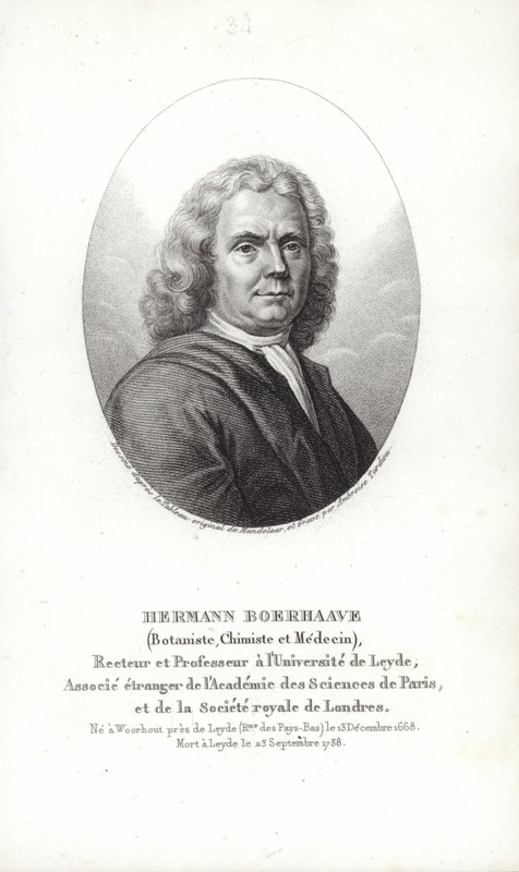 Herman Boerhaave 作者 荷兰学校