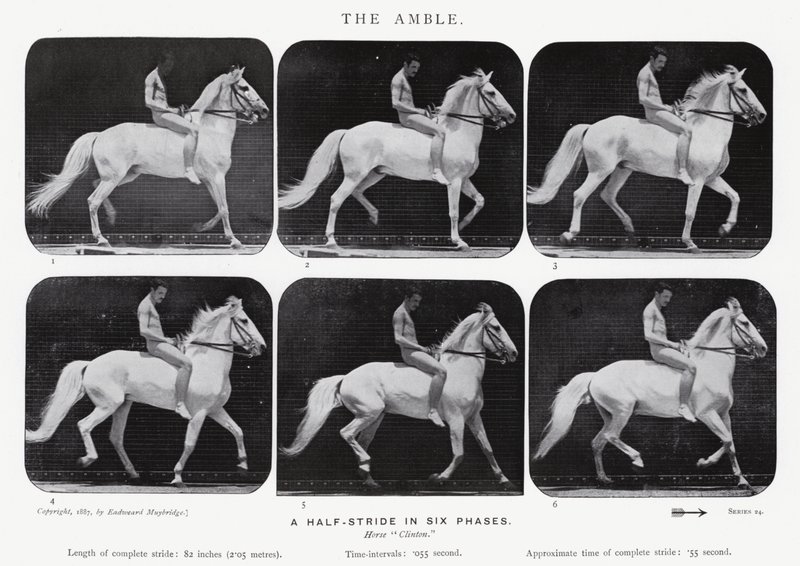 衣着的Muybridge：The Amble 作者 爱德沃德·迈布里奇