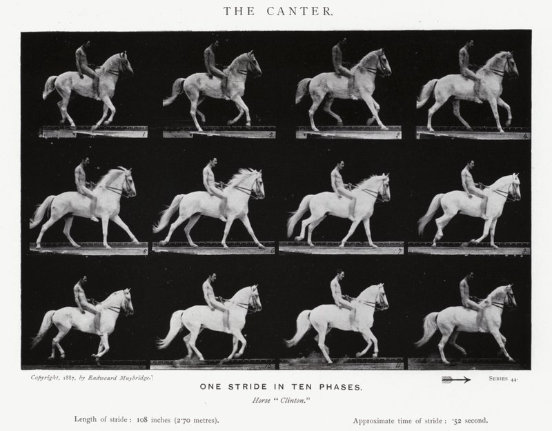 穆布里奇（Eadweard Muybridge）。坎特》（黑白照片 作者 爱德沃德·迈布里奇