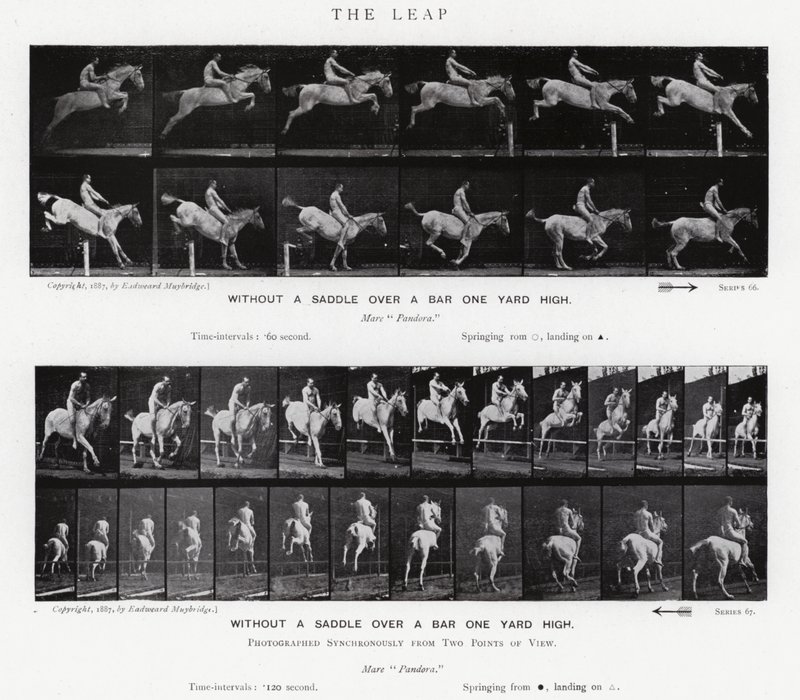 Eadweard Muybridge: The Leap (b/w photo) 作者 爱德沃德·迈布里奇