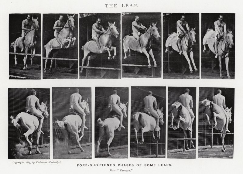 穆布里奇（Eadweard Muybridge）。飞跃》（黑白照片 作者 爱德沃德·迈布里奇