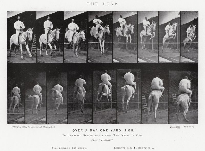 Eadweard Muybridge: The Leap (b/w photo) 作者 爱德沃德·迈布里奇