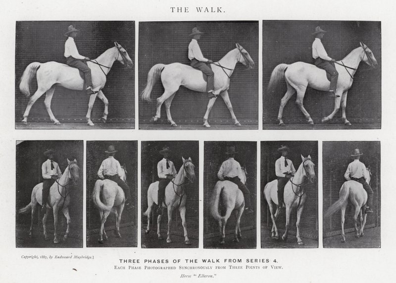 穆布里奇（Eadweard Muybridge）。漫步（黑白照片 作者 爱德沃德·迈布里奇