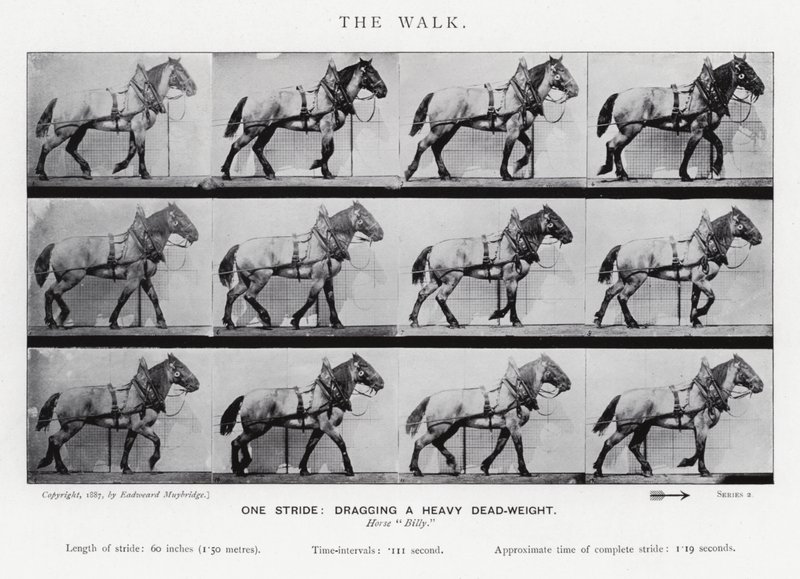 衣着的Muybridge：漫步 作者 爱德沃德·迈布里奇