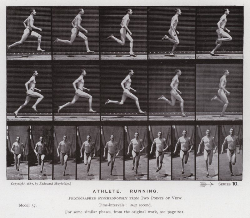The Human Figure in Motion: Athlete, Running (b/w photo) 作者 爱德沃德·迈布里奇
