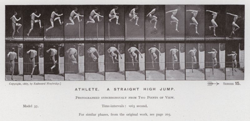 The Human Figure in Motion: Athlete, a straight high jump (b/w photo) 作者 爱德沃德·迈布里奇