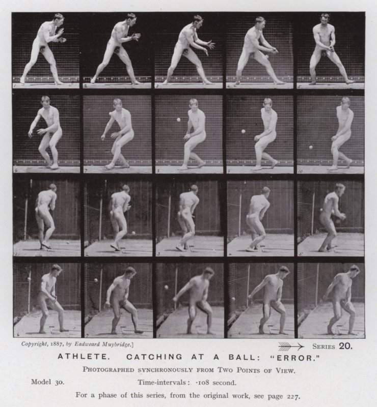 The Human Figure in Motion: Athlete, catching at a ball, "error" (b/w photo) 作者 爱德沃德·迈布里奇