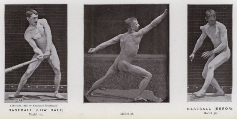 The Human Figure in Motion: Baseball, low ball; Baseball, error (b/w photo) 作者 爱德沃德·迈布里奇