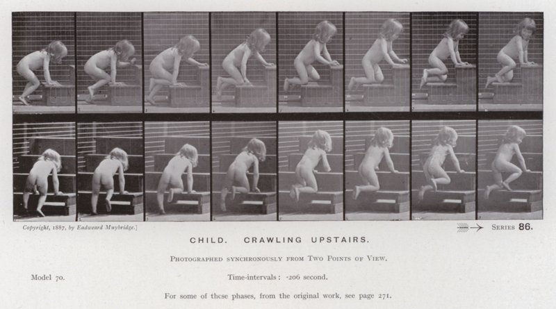 The Human Figure in Motion: Child, crawling upstairs (b/w photo) 作者 爱德沃德·迈布里奇