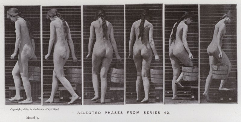 The Human Figure in Motion: Selected phases from series 42 (b/w photo) 作者 爱德沃德·迈布里奇