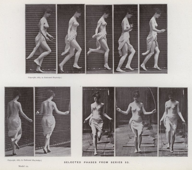 The Human Figure in Motion: Selected phases from series 53 (b/w photo) 作者 爱德沃德·迈布里奇
