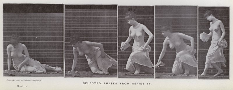 The Human Figure in Motion: Selected phases from series 56 (b/w photo) 作者 爱德沃德·迈布里奇