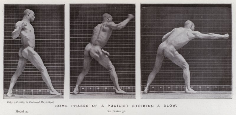 The Human Figure in Motion: Some phases of a pugilist striking a blow (b/w photo) 作者 爱德沃德·迈布里奇