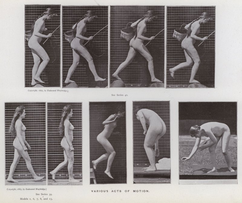 The Human Figure in Motion: Various acts of motion (b/w photo) 作者 爱德沃德·迈布里奇