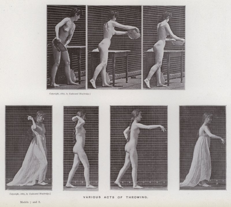 The Human Figure in Motion: Various acts of throwing (b/w photo) 作者 爱德沃德·迈布里奇