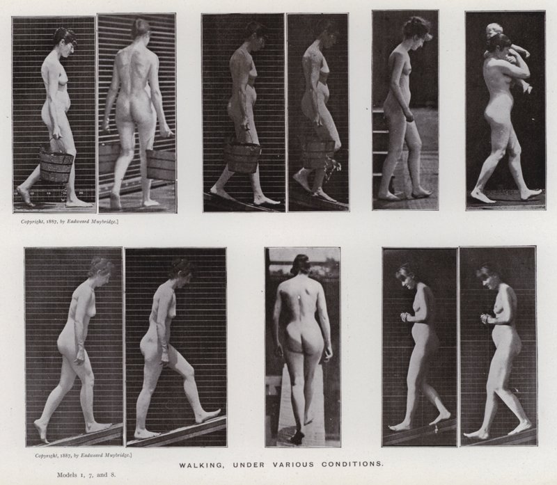 The Human Figure in Motion: Walking, under various conditions (b/w photo) 作者 爱德沃德·迈布里奇