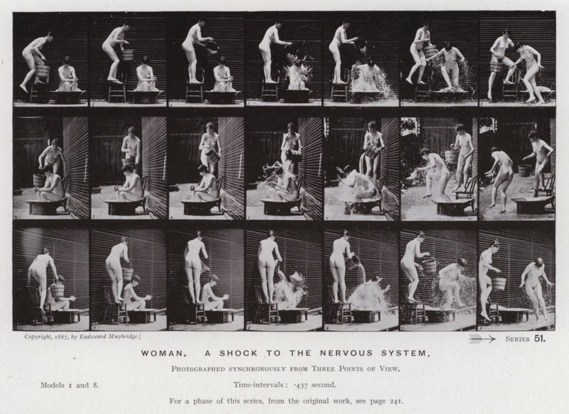 The Human Figure in Motion: Woman, a shock to the nervous system (b/w photo) 作者 爱德沃德·迈布里奇