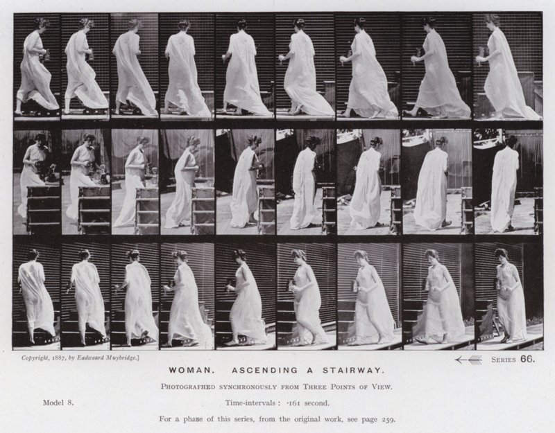 The Human Figure in Motion: Woman, ascending a stairway (b/w photo) 作者 爱德沃德·迈布里奇