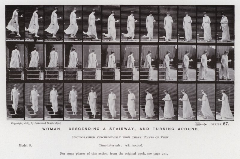The Human Figure in Motion: Woman, descending a stairway, and turning around (b/w photo) 作者 爱德沃德·迈布里奇