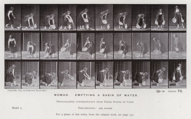The Human Figure in Motion: Woman, emptying a basin of water (b/w photo) 作者 爱德沃德·迈布里奇