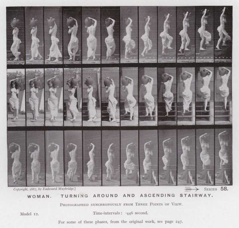 The Human Figure in Motion: Woman, turning around and ascending stairway (b/w photo) 作者 爱德沃德·迈布里奇