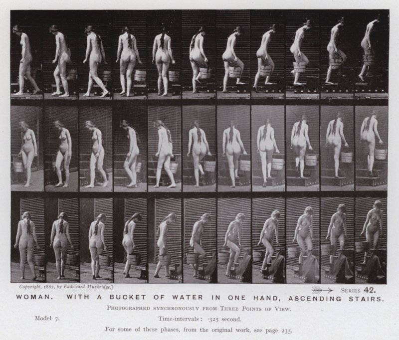 The Human Figure in Motion: Woman, with a bucket of water in one hand, ascending stairs (b/w photo) 作者 爱德沃德·迈布里奇