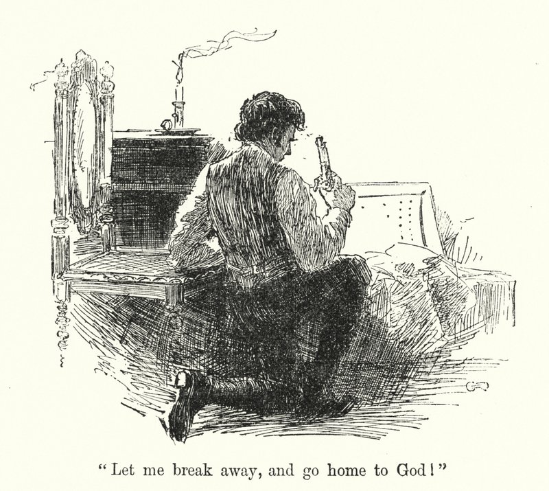 Charlotte Bronte 为 Jane Eyre 绘制的插图（石版画） 作者 埃德蒙·亨利·加勒特