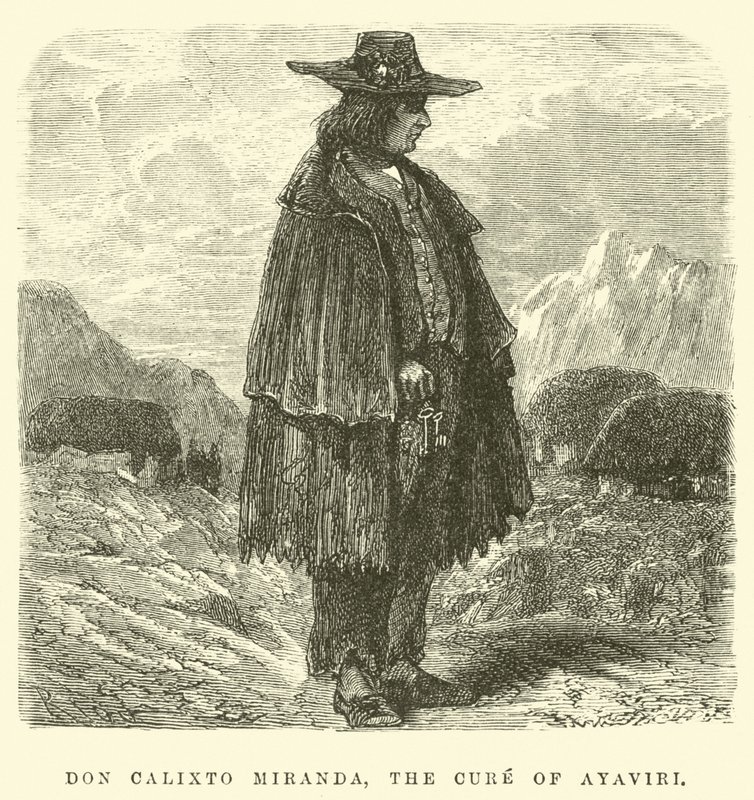 Don Calixto Miranda，Ayaviri的治疗方法 作者 爱德华·里奥（Edouard Riou）
