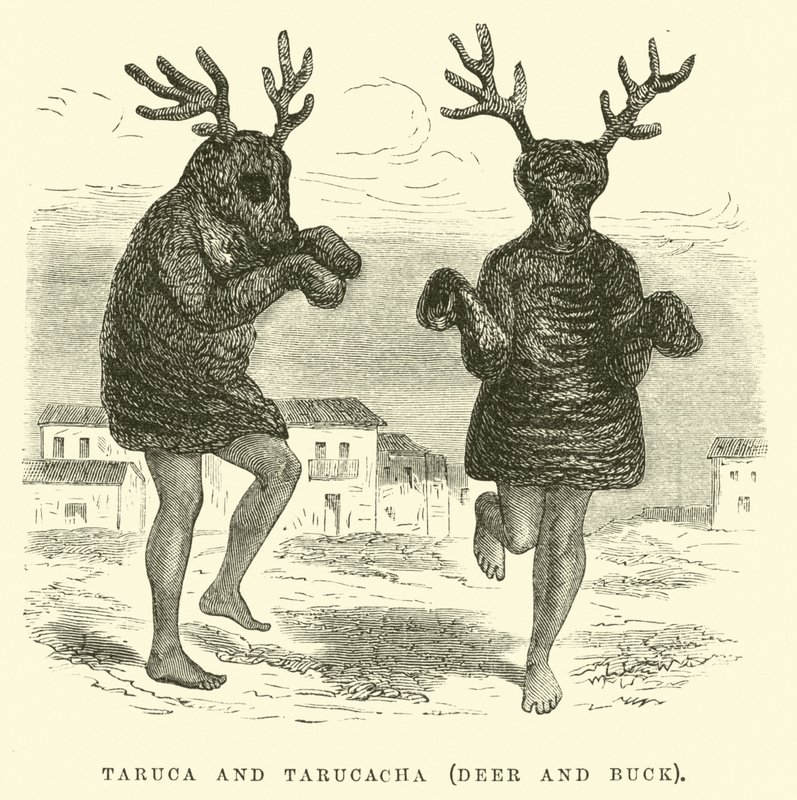 Taruca和Tarucacha，鹿和巴克 作者 爱德华·里奥（Edouard Riou）