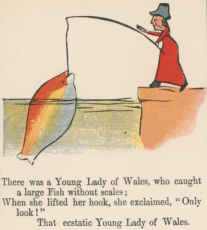 还有一位威尔士的年轻女士从伦敦的Frederick Warne and Co.出版的“A Book of Nonsense”中捕获了一条没有鳞片的大鱼，c.1875 作者 爱德华·李尔