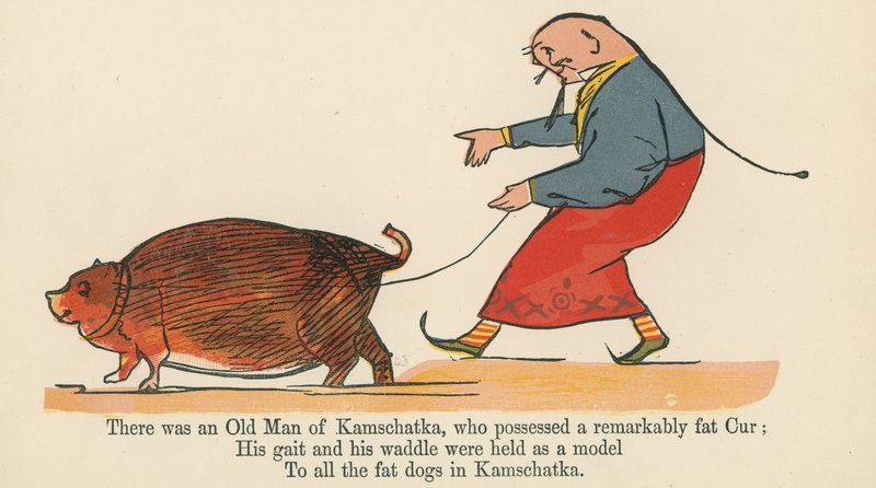 来自伦敦Frederick Warne and Co.出版的“A Book of Nonsese”中有一位Kanschatka的老人，他拥有一个非常胖的Cur，1875年 作者 爱德华·李尔