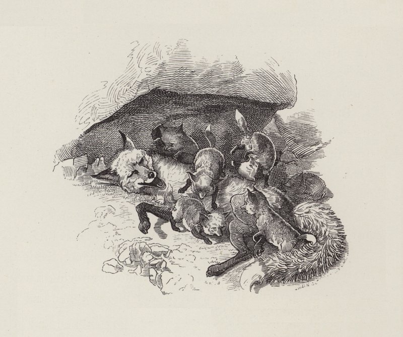 Illustration for The Water-Babies by Charles Kingsley (engraving) 作者 爱德华·林利（之后）萨姆伯恩