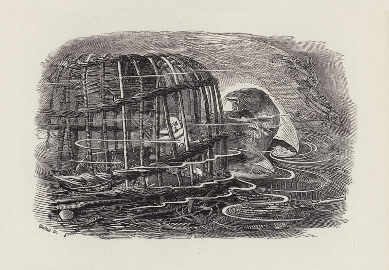 Illustration for The Water-Babies by Charles Kingsley (engraving) 作者 爱德华·林利（之后）萨姆伯恩