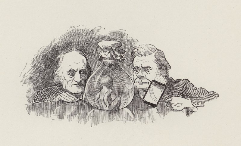 Illustration for The Water-Babies by Charles Kingsley (engraving) 作者 爱德华·林利（之后）桑伯恩