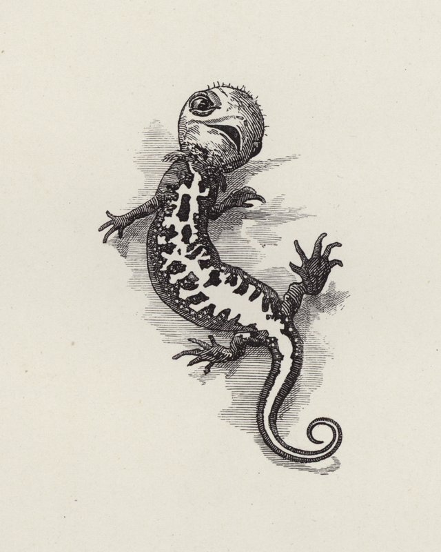 Illustration for The Water-Babies by Charles Kingsley (engraving) 作者 爱德华·林利（之后）萨姆伯恩