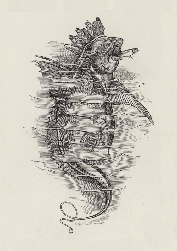 查尔斯·金斯利的《水宝宝》插图（版画） 作者 爱德华·林利（之后）桑伯恩