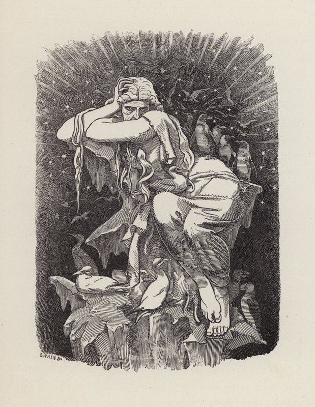 查尔斯·金斯利的《水宝宝》插图（版画） 作者 爱德华·林利（之后）桑伯恩
