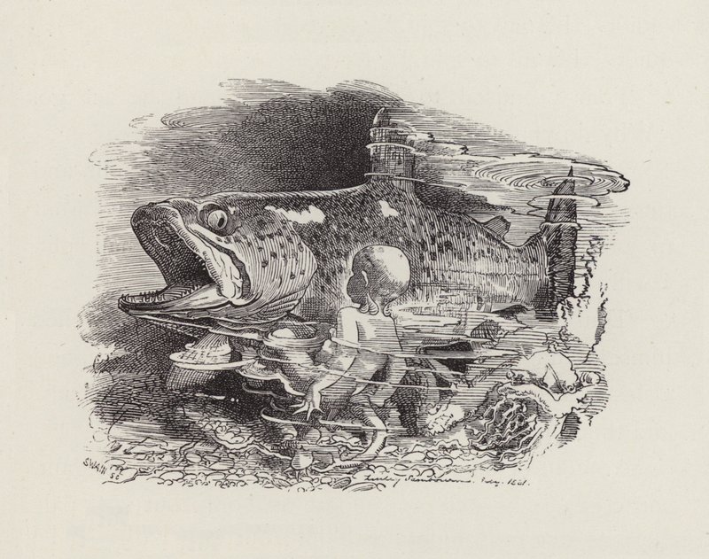 查尔斯·金斯利的《水宝宝》插图（版画） 作者 爱德华·林利（之后）桑伯恩