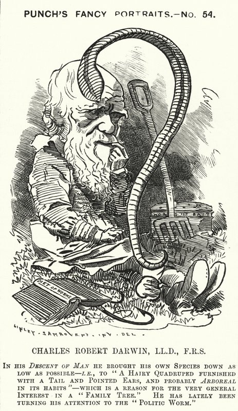 打孔卡通：查尔斯·达尔文，英国博物学家和生物学家（版画） 作者 爱德华·林利（之后）萨姆伯恩