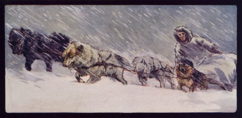 一个 Esquimaux 雪橇犬队（彩色石版画） 作者 埃德温·诺布尔