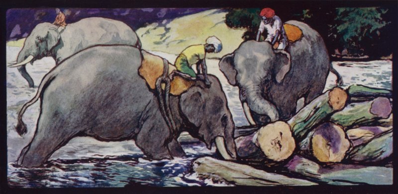 Elephants handling Logs in River (colour litho) 作者 埃德温·诺布尔