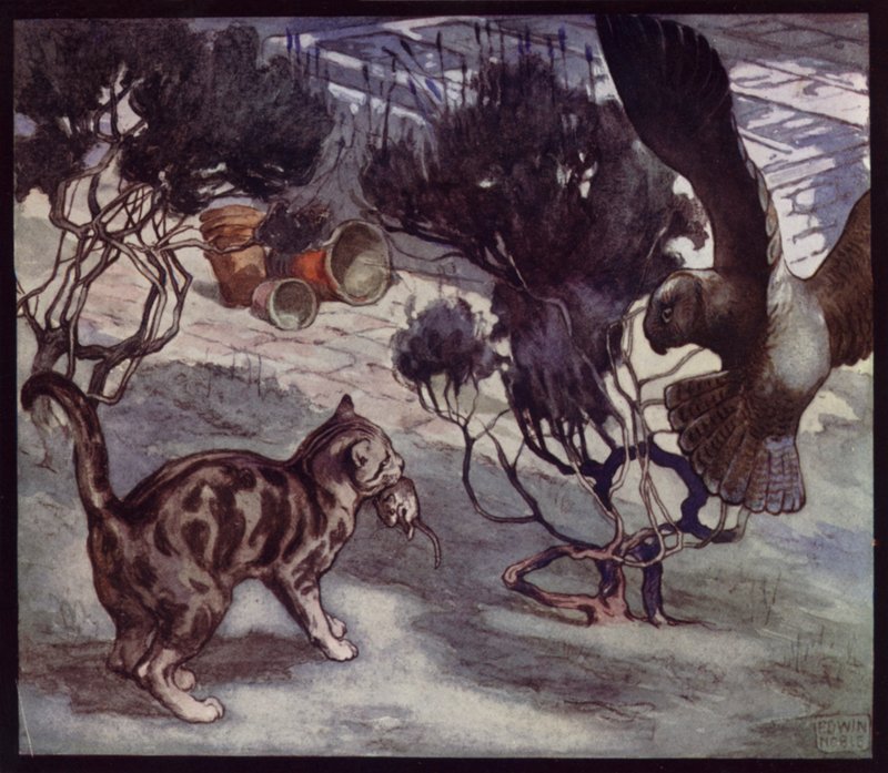 竞争对手捕鼠者、猫和猫头鹰（彩色石版画） 作者 埃德温·诺布尔