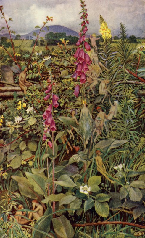 桂妮薇儿（彩色平版印刷） 作者 埃莉诺 Fortescue-Brickdale