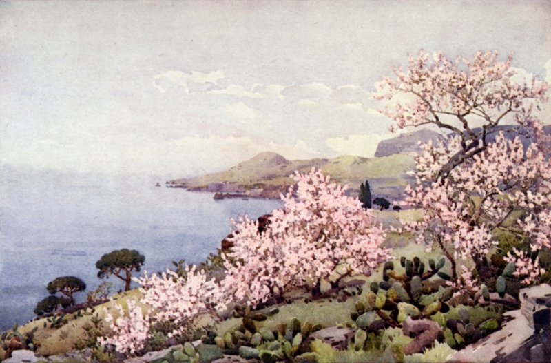 杏花（彩色平版） 作者 艾拉·杜甘蔗