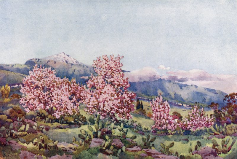 杏花，奥罗塔瓦山谷（彩色石版画） 作者 艾拉·杜甘蔗