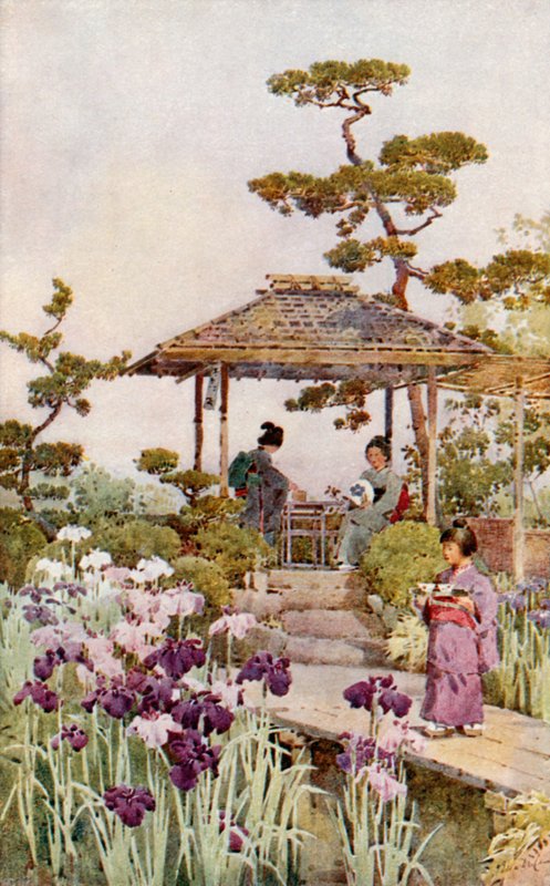 鸢尾花园（彩色平版） 作者 艾拉·杜甘蔗