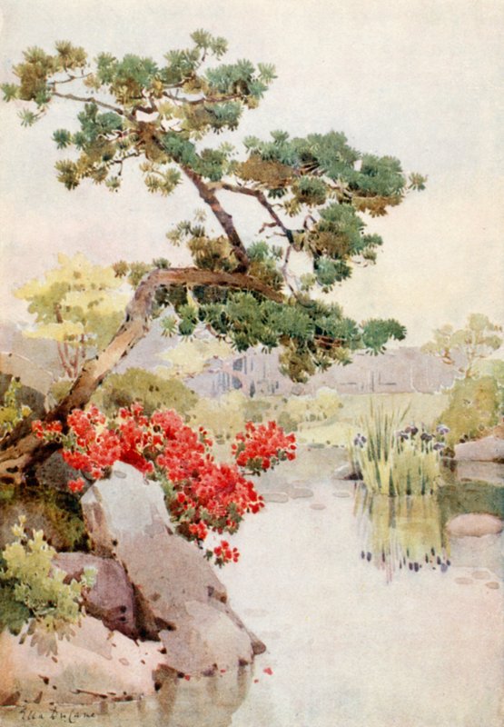 杜鹃花和松树（彩色平版） 作者 艾拉·杜甘蔗