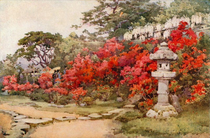 杜鹃花，阿瓦塔（彩色平版印刷） 作者 艾拉·杜甘蔗